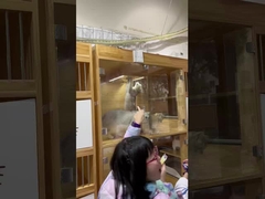 อากาศ สะอาด สุขภาพ สุขภาพ สุขภาพ สุขภาพ สุข